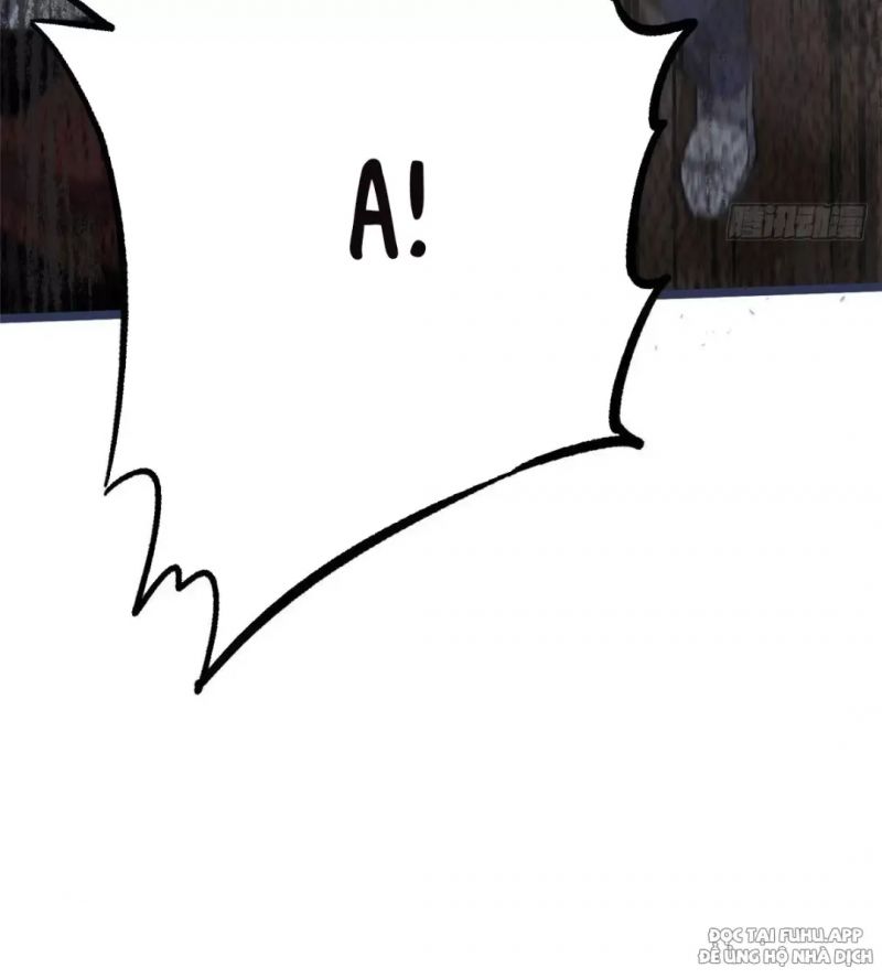 Chapter 13