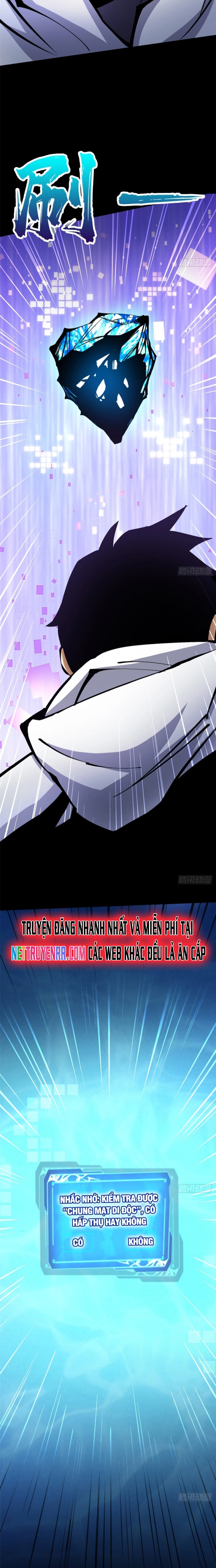 Chapter 117