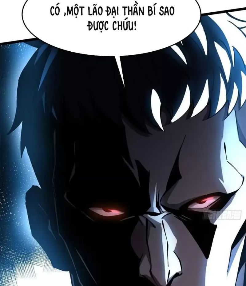 Chapter 19