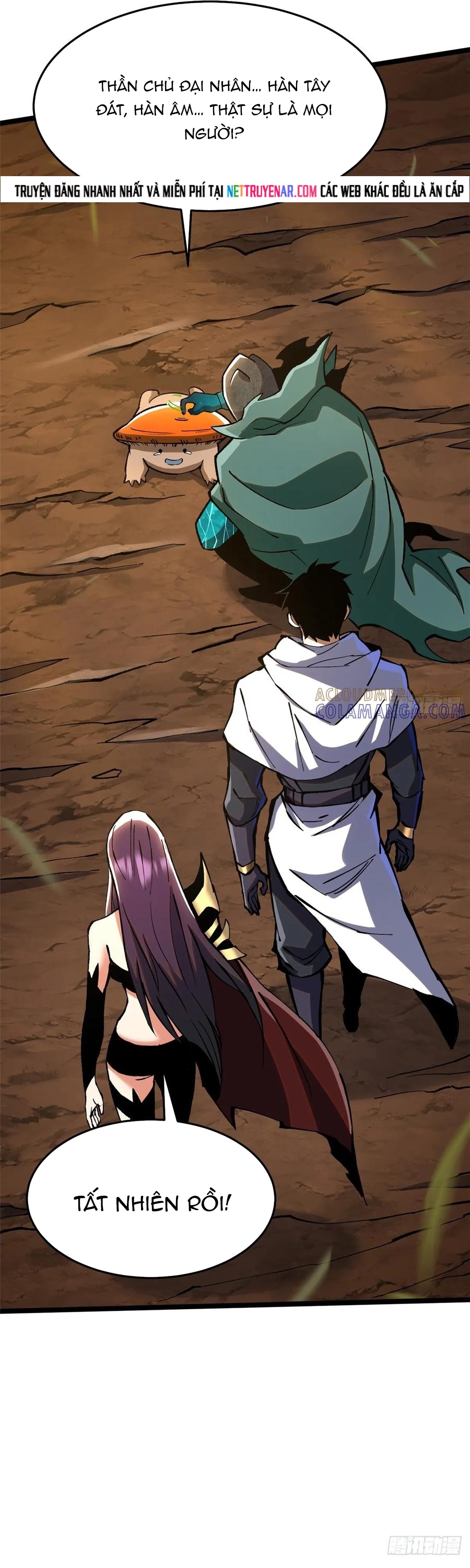 Chapter 142
