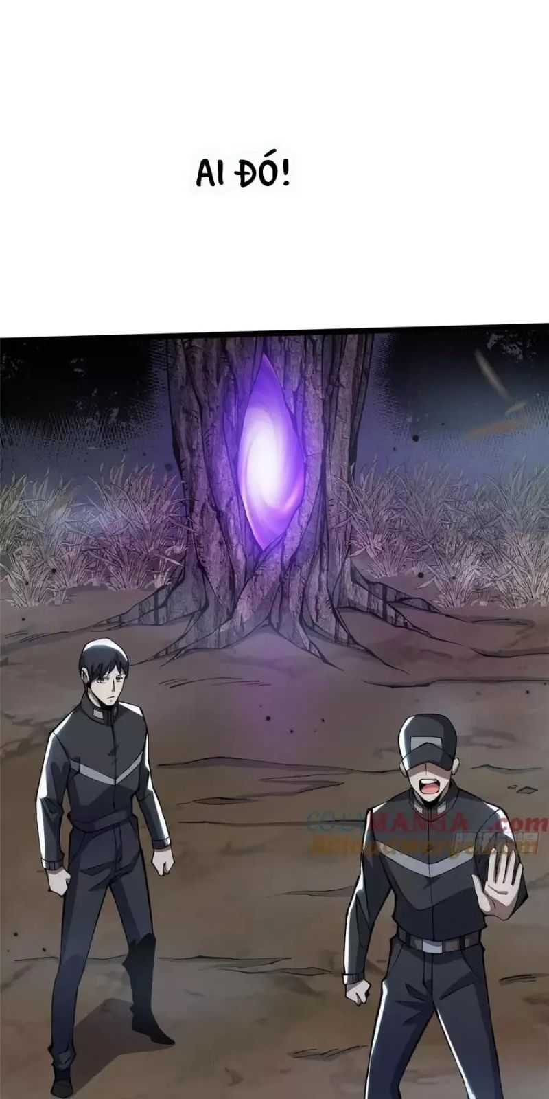 Chapter 20