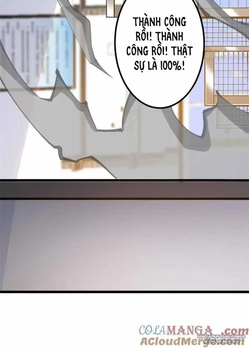 Chapter 26