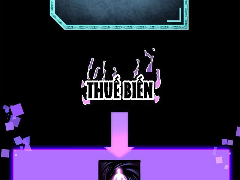 Chapter 5