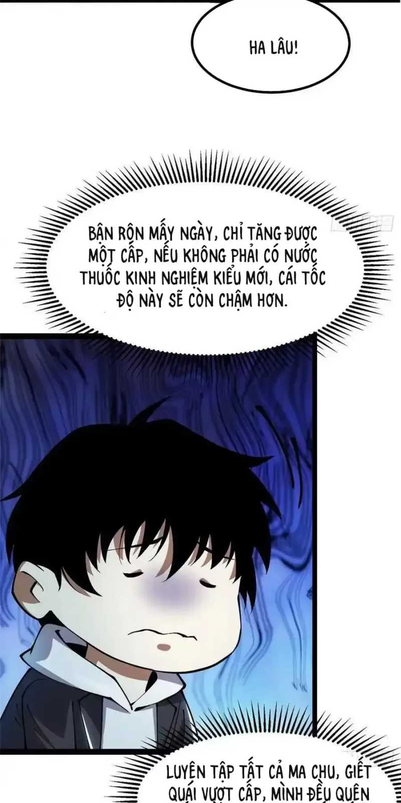Chapter 31