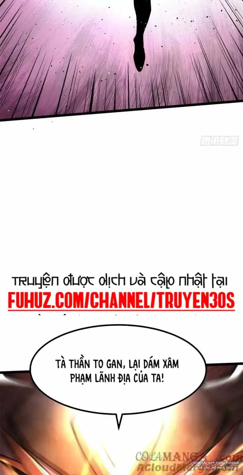 Chapter 33