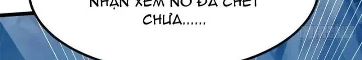 Chapter 35.3