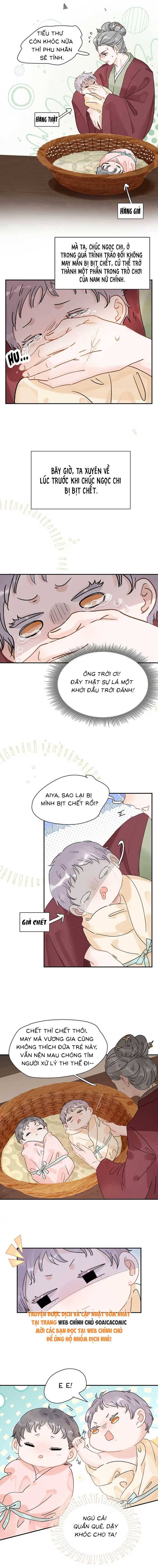 Chapter 1
