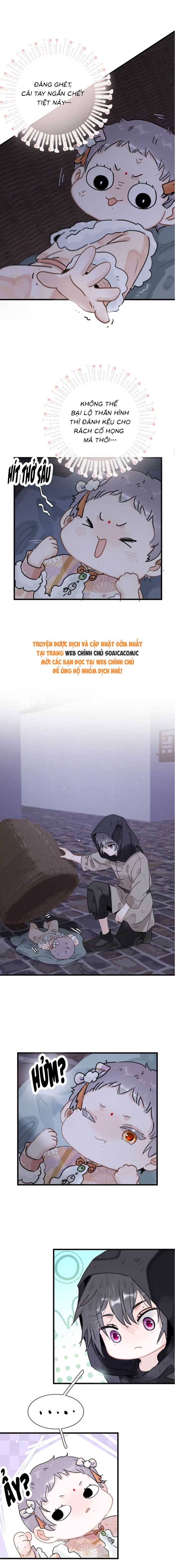 Chapter 11