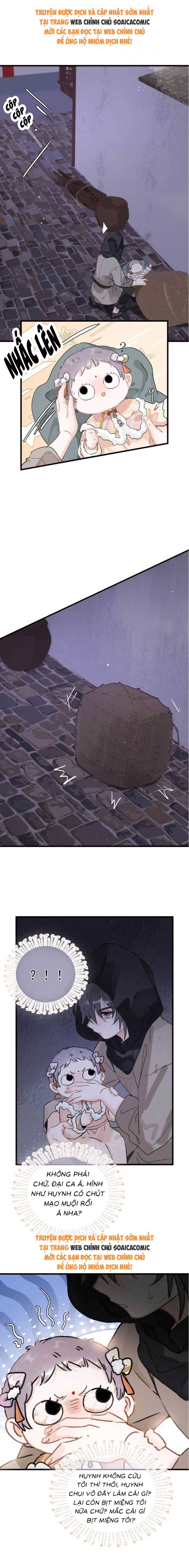 Chapter 11