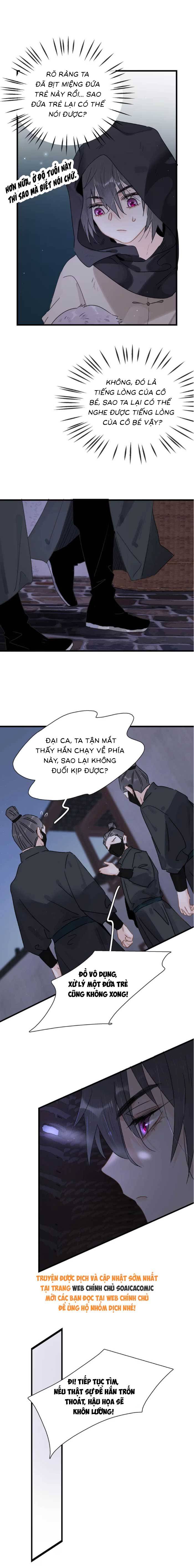Chapter 11