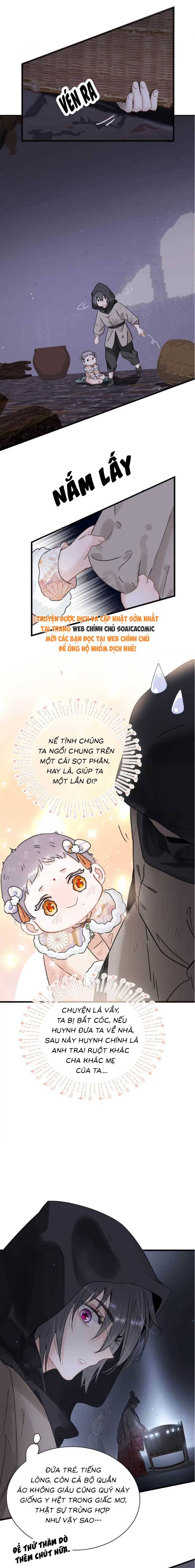 Chapter 11