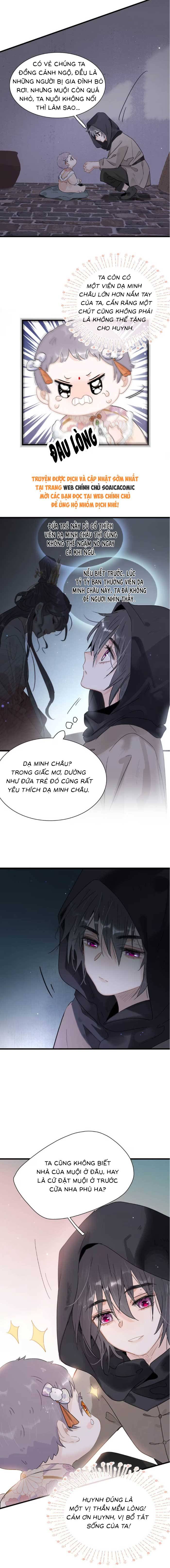 Chapter 11