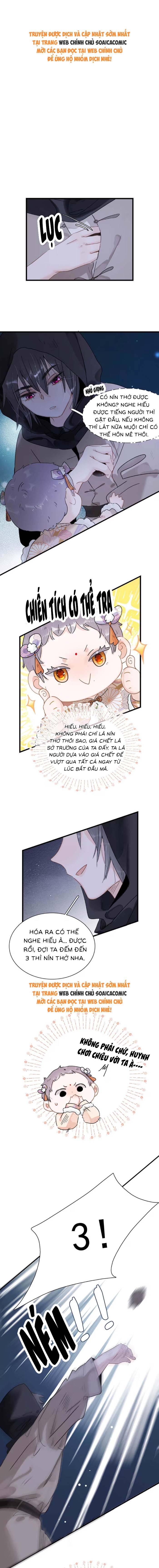 Chapter 12