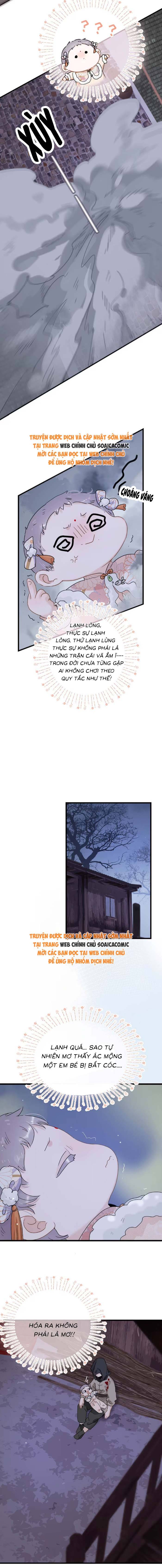 Chapter 12