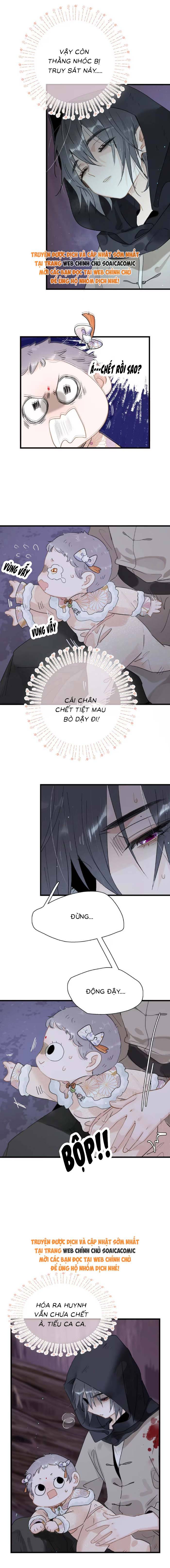 Chapter 12