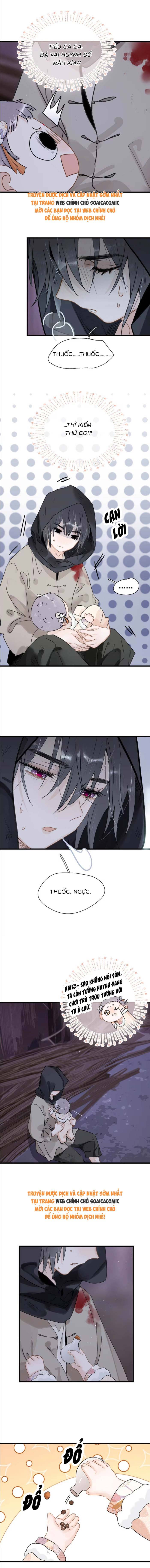 Chapter 12
