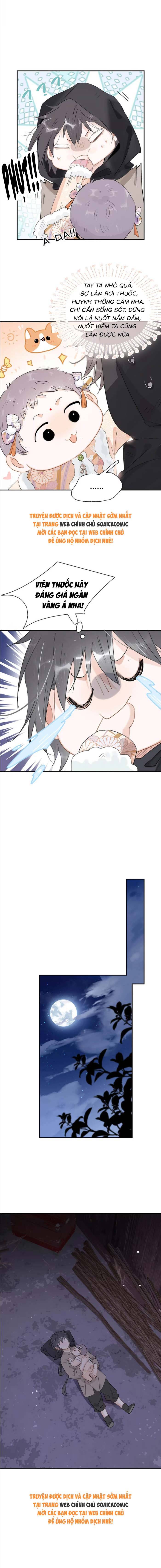 Chapter 12
