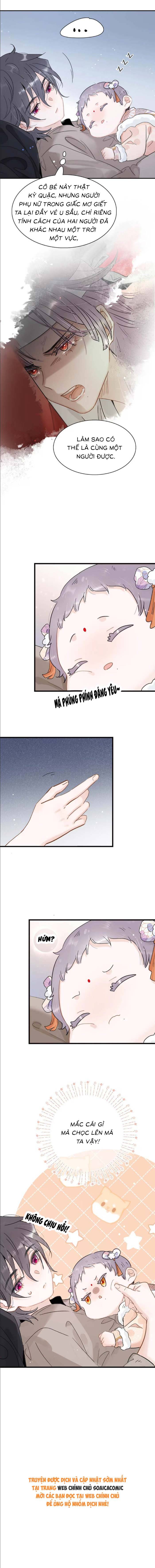 Chapter 12