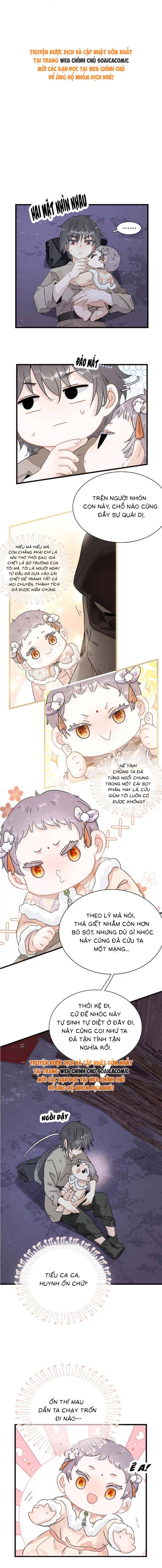 Chapter 13
