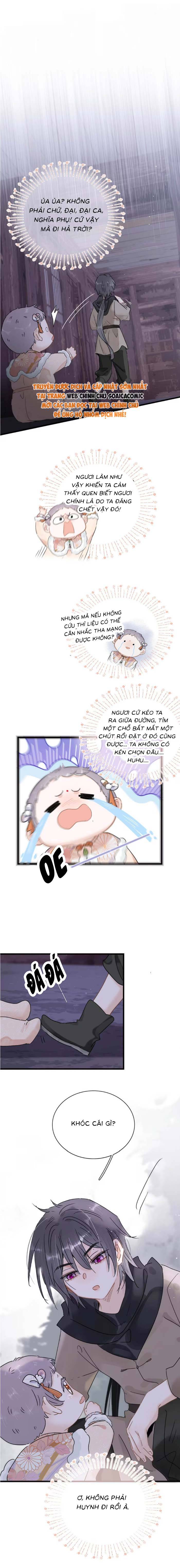 Chapter 13