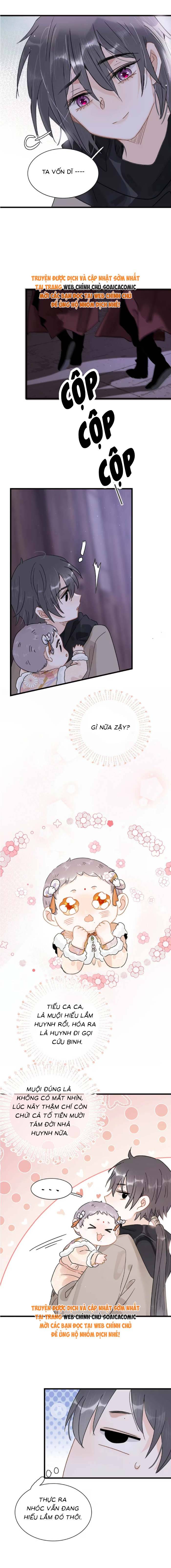 Chapter 13