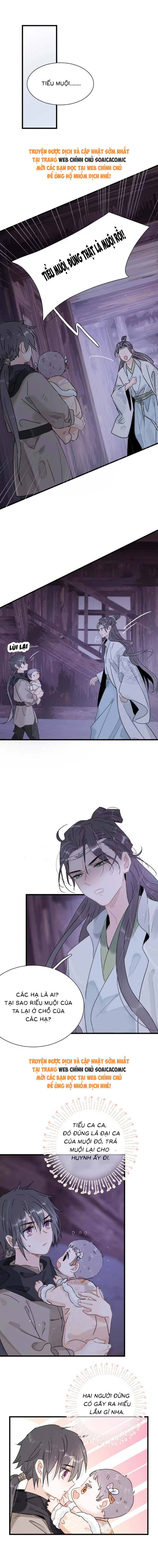 Chapter 13