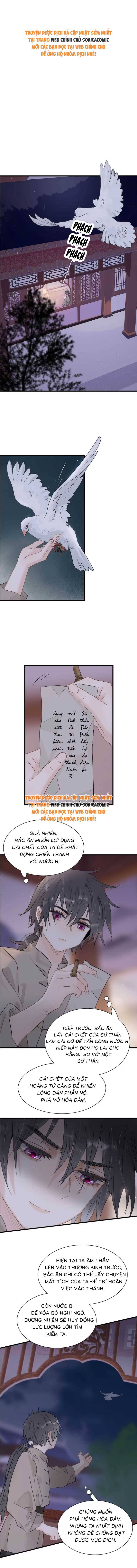 Chapter 15