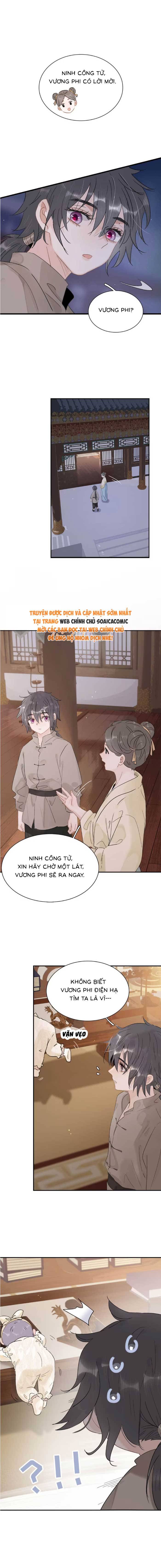 Chapter 15