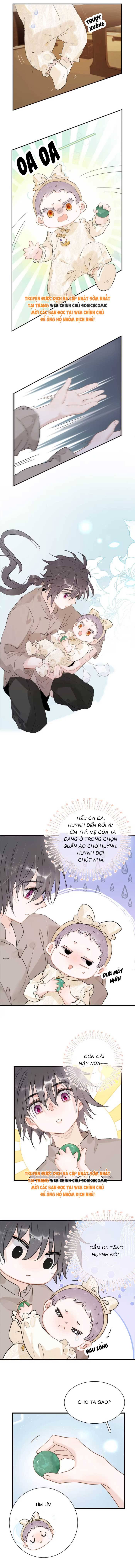 Chapter 15