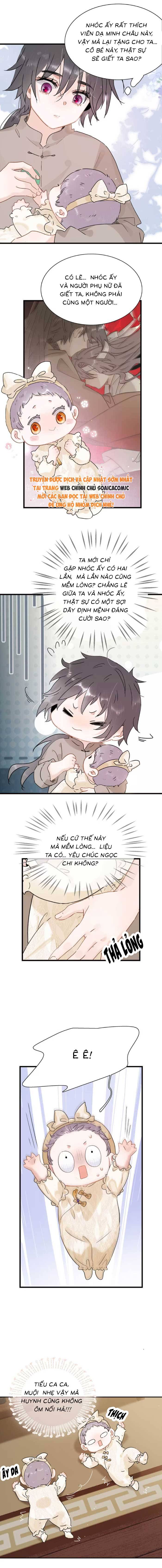 Chapter 15