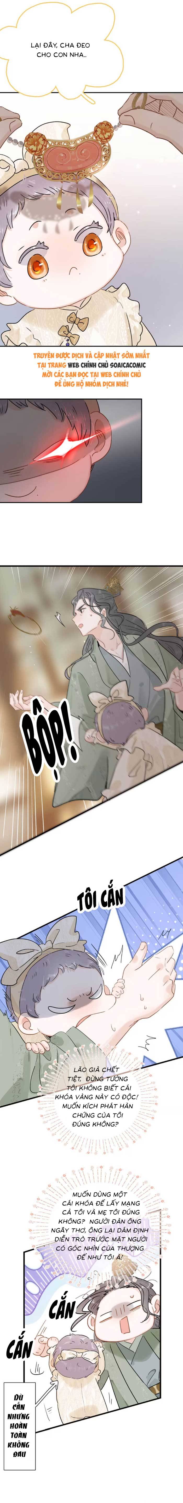 Chapter 15