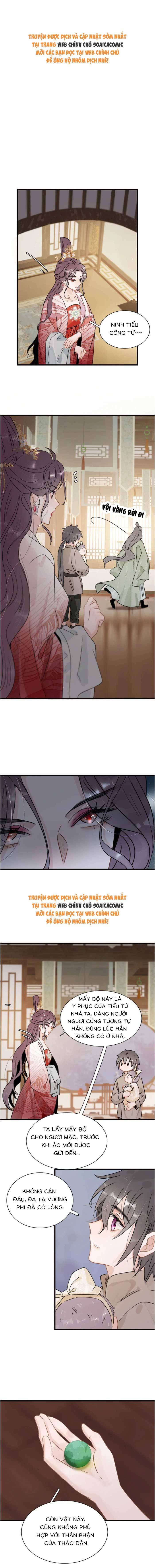 Chapter 16