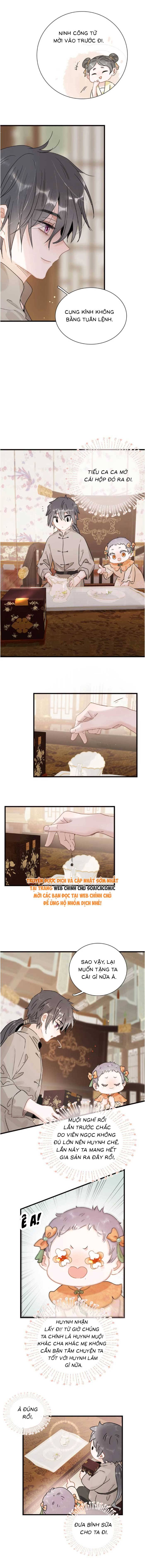 Chapter 16