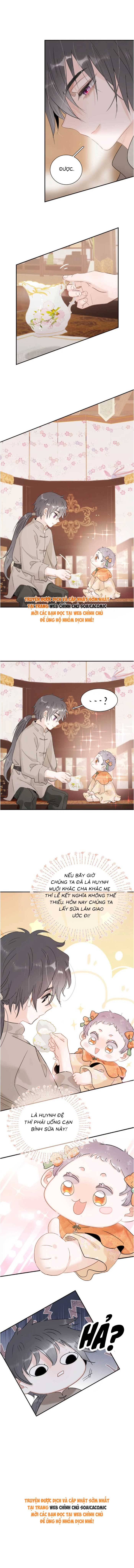 Chapter 16