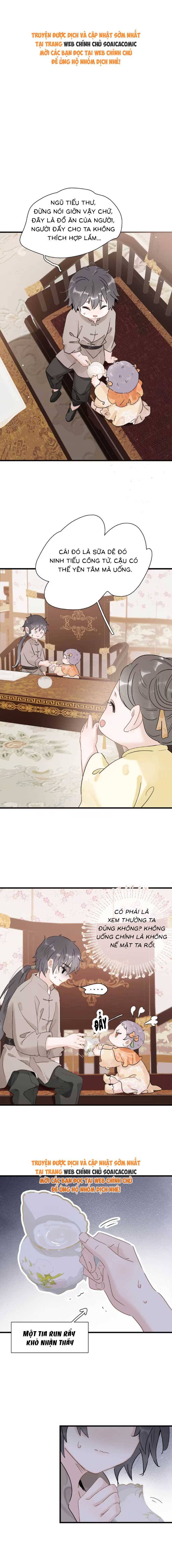Chapter 17