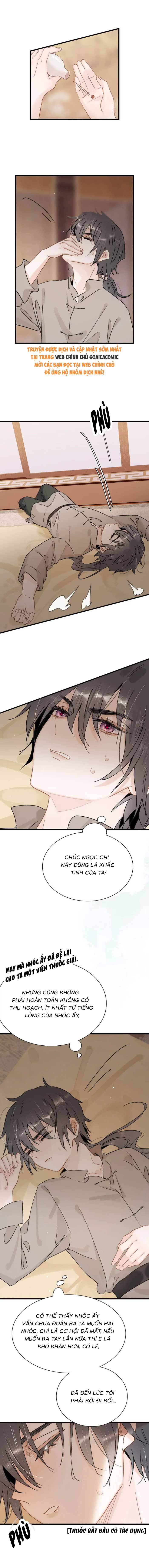Chapter 17