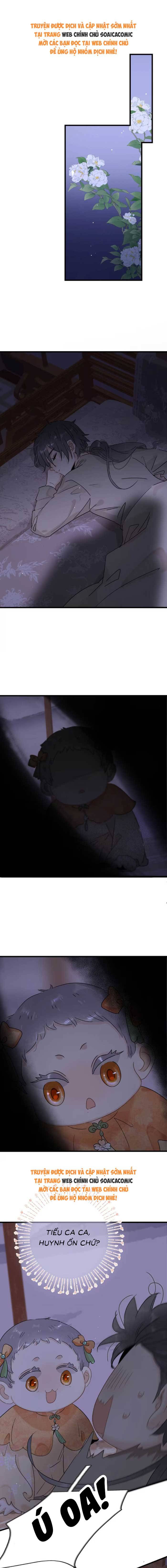 Chapter 17