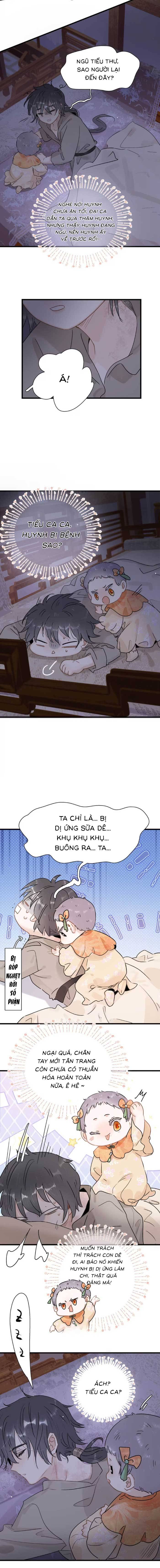 Chapter 17
