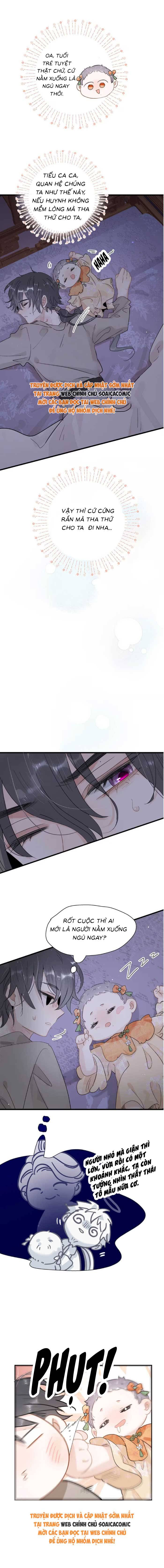 Chapter 17