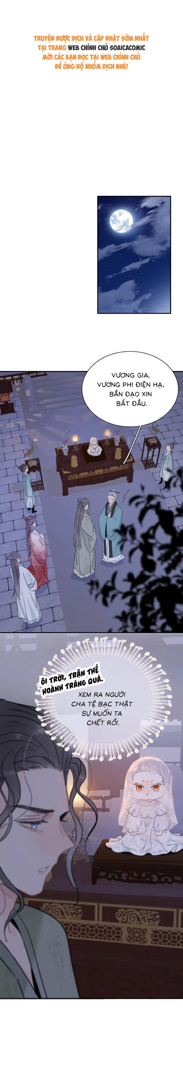 Chapter 19