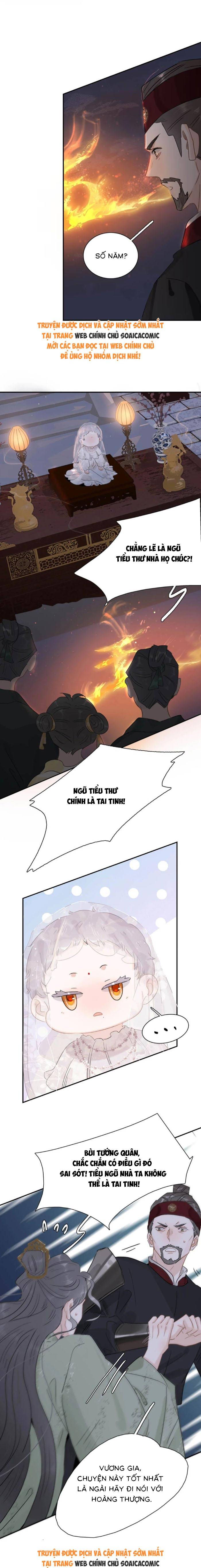 Chapter 19