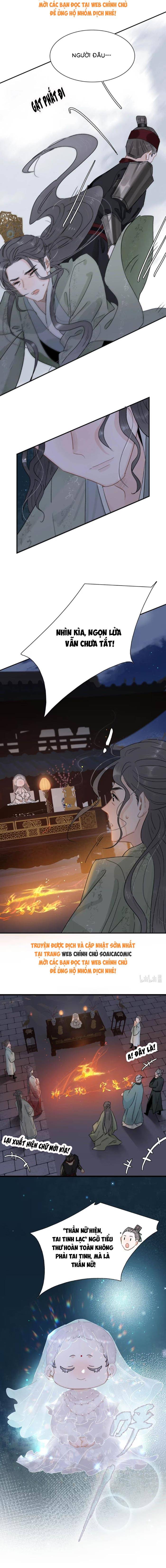 Chapter 19