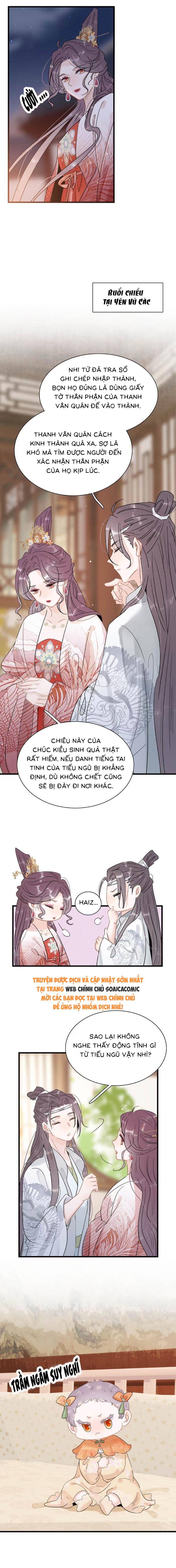 Chapter 19