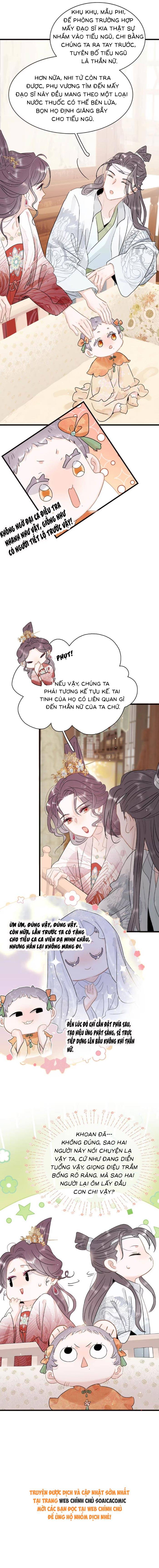 Chapter 19