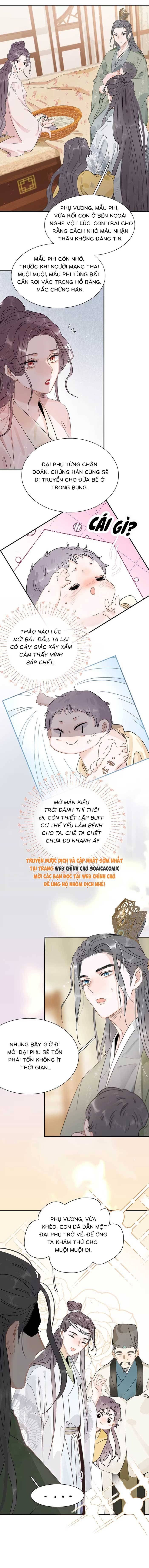 Chapter 3