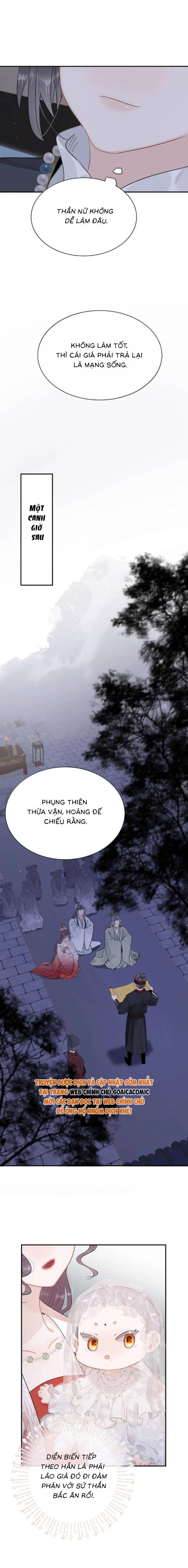 Chapter 20