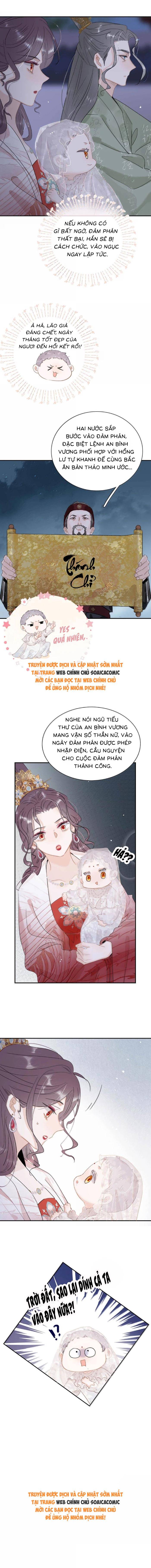 Chapter 20