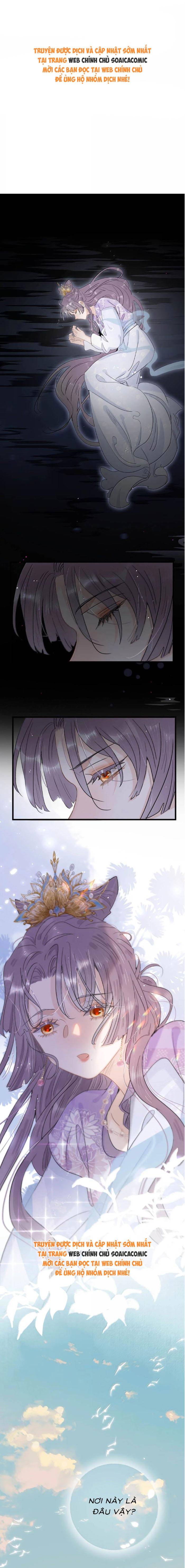 Chapter 22