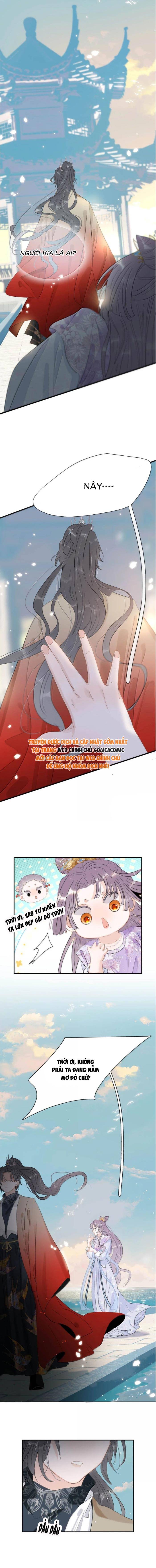 Chapter 22
