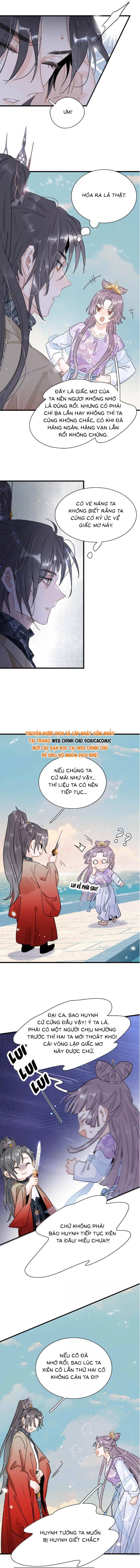 Chapter 23